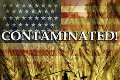 contaminated